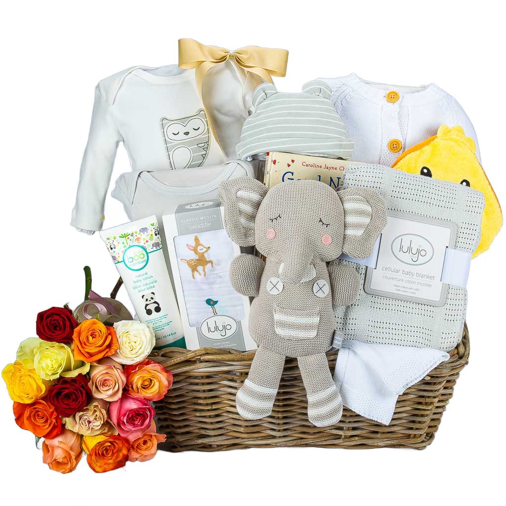 Bambino Deluxe Baby Girl Gift Hamper | Unique Baby Gift Baskets | Reviews  on Judge.me